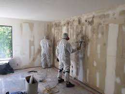 Best Black Mold Removal  in Romancoke, MD